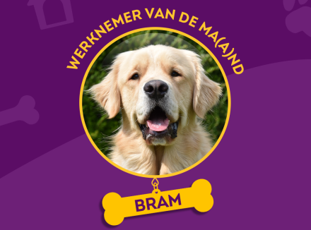 Geleidehond Bram is medewerker van de maand