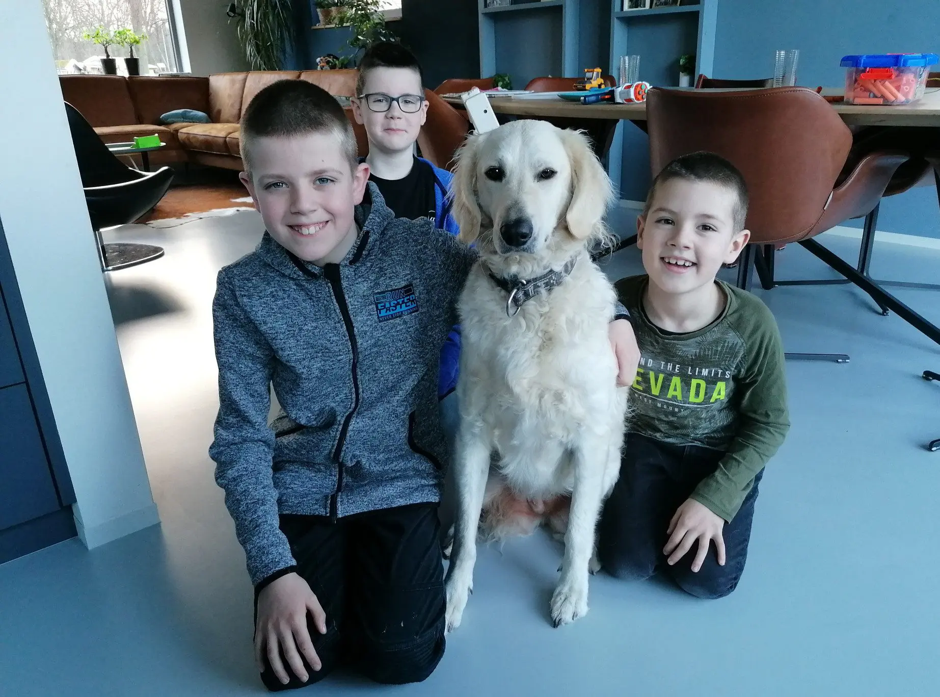 De drie kinderen uit het gezin zitten blij naast hun blonde labradoodle Bobbie