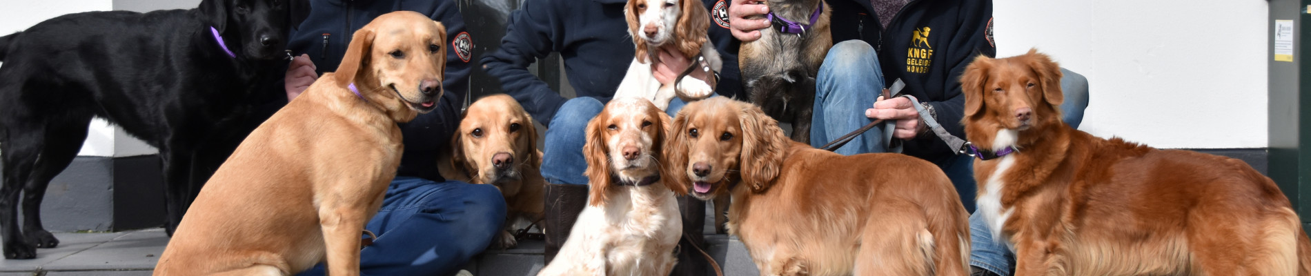 Groepsfoto van het medische detectiehonden team
