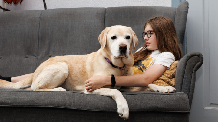 Een jongen en zijn blonde labrador liggen op de bank