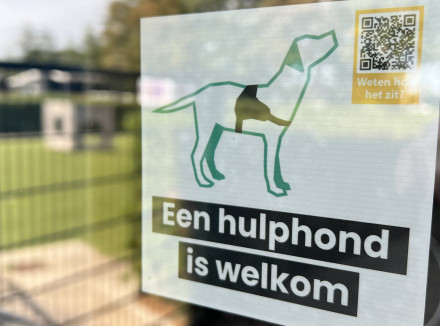Hulphond is welkom sticker op raam met grasveld op achtergrond