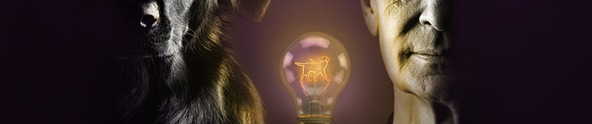 Campagnebeeld Geleidehonden Light Night met geleidehond en baas in schemer met peertje dat licht geeft tussen hen in