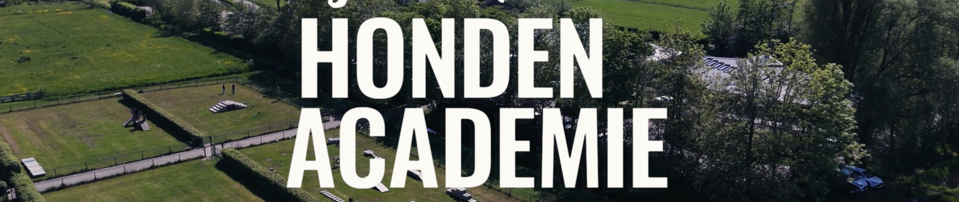 Bij ons op de Hondenacademie