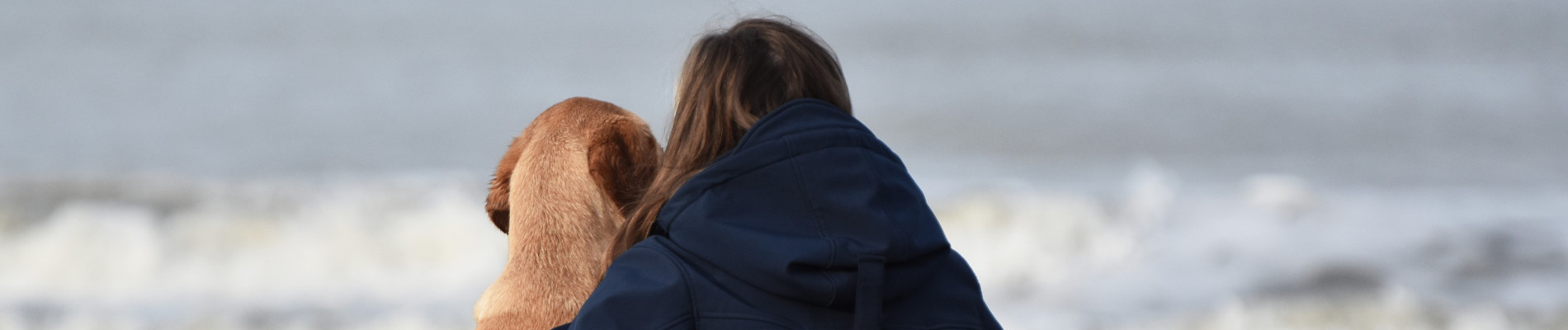Hond en trainer op het strand