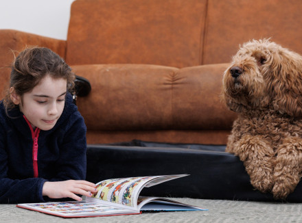 Hond in de mand, meisje leest een boek