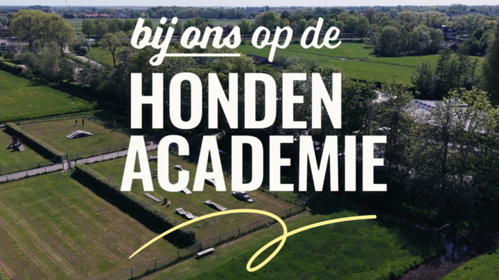 Bij ons op de Hondenacademie