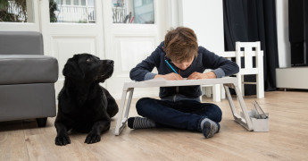 Buddyhond kijkt toe bij kind dat huiswerk maakt