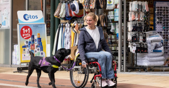 assistentiehond begeleid persoon in rolstoel