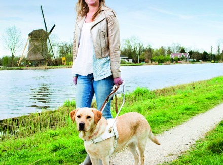 Cover jaarbericht 2014 met blindengeleidehond langs de Amstel naast zijn baas