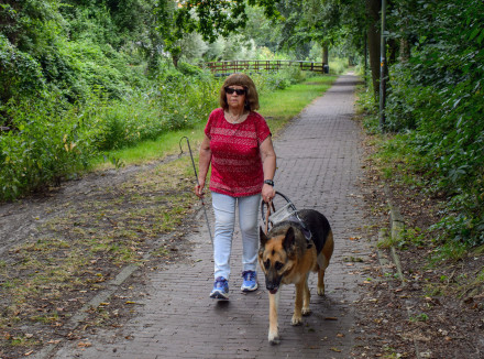 Will loopt buiten met haar geleidehond