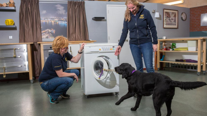 Marlouke en Tessa staan bij een wasmachine die door  een hond via een touwtje wordt opengetrokken