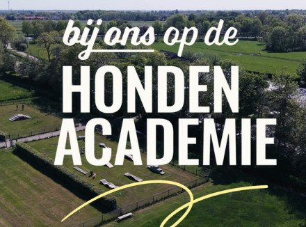 Bij ons op de Hondenacademie