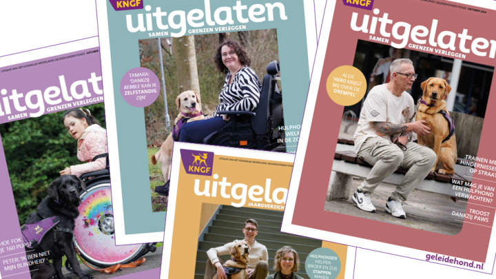 Bladzijdes uit het magazine Uitgelaten