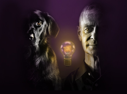 Campagnebeeld Geleidehonden Light Night met geleidehond en baas in schemer met peertje dat licht geeft tussen hen in