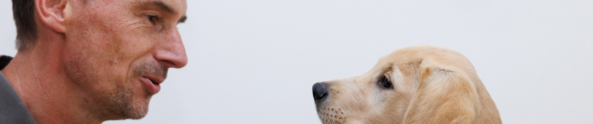 Pleegbaas Erwin kijkt naar pup Zomer