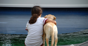 Buddyhond en kind kijken uit over water