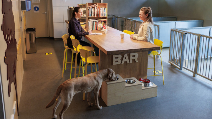 2 collega's in overleg bij een tafel. Op de achtergrond hondenkennels en op de voorgrond een hond die uit een bakje water drinkt bij de hondenbar.