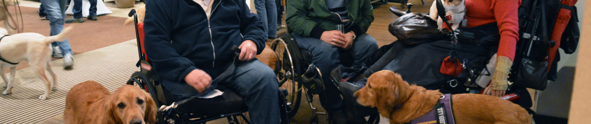 Groep ambassadeurs in rolstoel met hun honden zitten bij elkaar