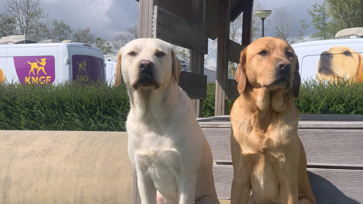 portretfoto van Famous en Nielson op een speeltoestel met op de achtergrond KNGF-bussen