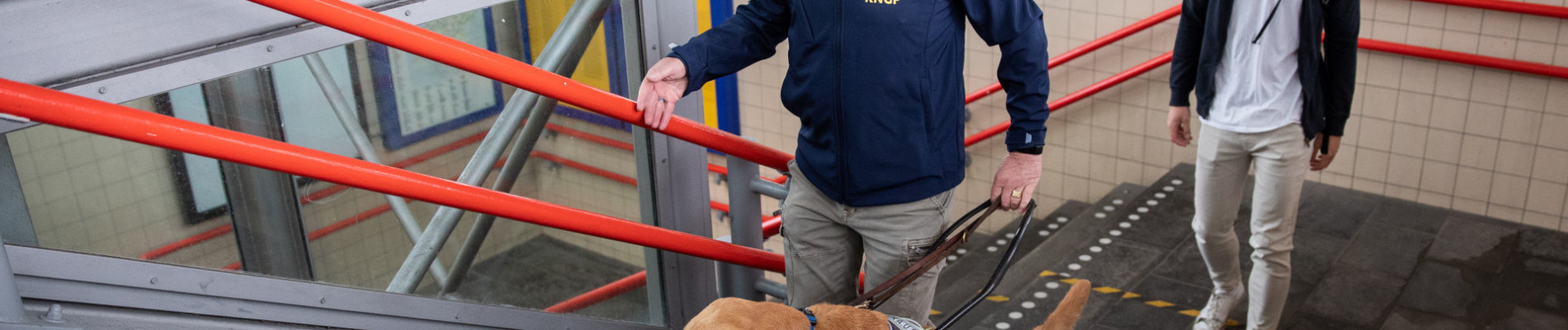 Instructeur Kees loopt met labrador in paars kngf-tuig op de trap in een metrostation