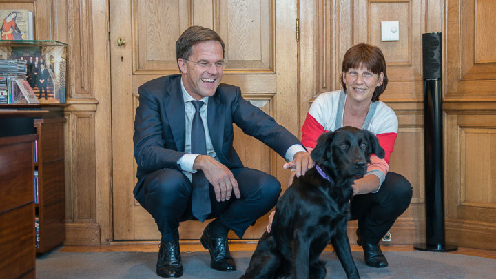 Minister-president Rutte ontmoet zijn adoptiepup Palli van KNGF Geleidehonden