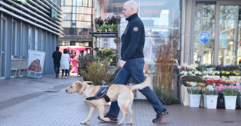trainer en hond