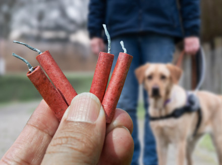 hand met vuurwerk in close-up, op de achtergrond een geleidehond in tuig