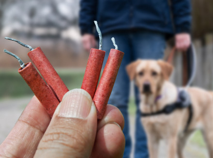 Een hand die vuurwerk vasthoudt, met op de achtergrond een geleidehond
