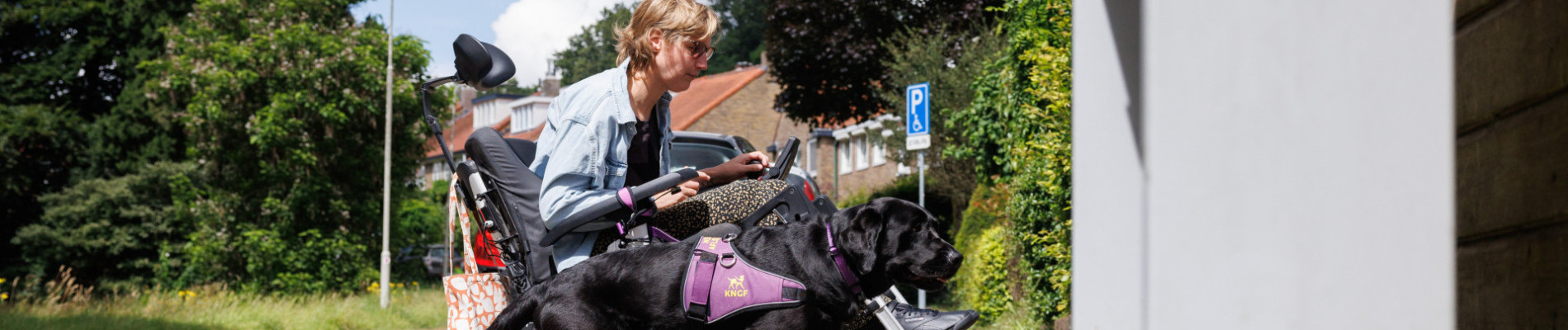 Nynke in een rolstoel met haar assistentiehond naast haar op de stoep