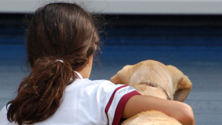kind op de rug gezien naast een blonde labrador