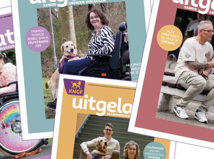 Waaier van magazines Uitgelaten