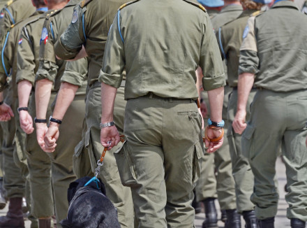 Hond loopt naast veteranen in uniform