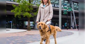 hond wandelt met client langs een station