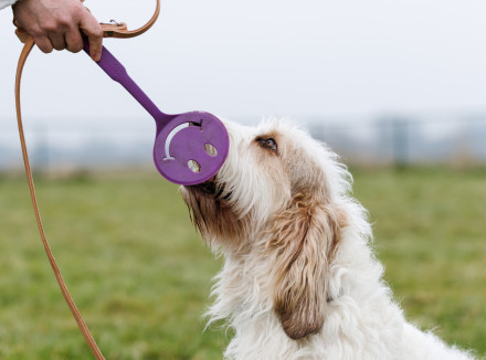hond tijdens de paws- workshop