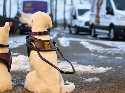 twee honden gemaakt van sneeuw met een hulphonden dekje