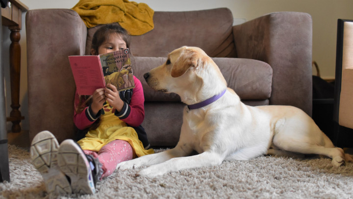 meisje leest hond voor