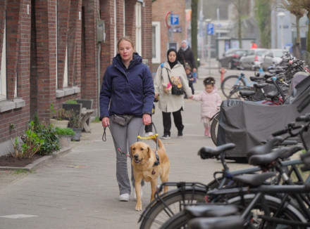 Collega Laura traint op straat met een hond, ze lopen langs een hoop geparkeerde fietsen