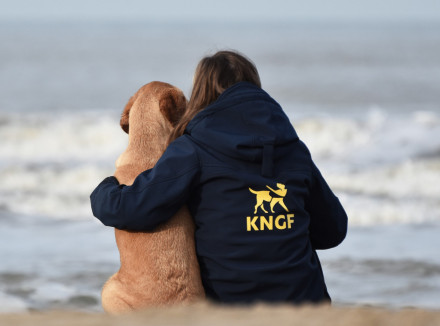 Hond en trainer op het strand