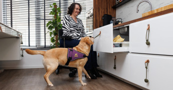 assistentiehond helpt met kastje openen