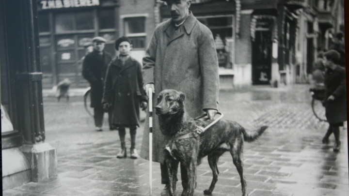 Geleidehond met zijn baas in de dertiger jaren