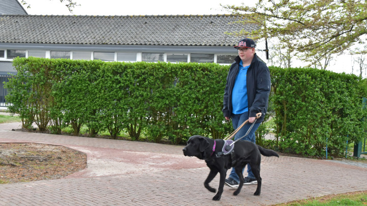Lars loopt met zijn blindengeleidehond Sem