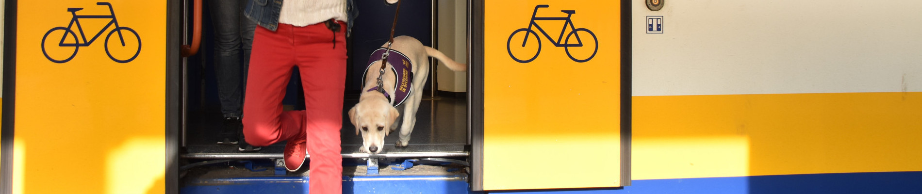 Een instructeur, pleeg-ouder en hond oefenen met het uitstappen van een trein