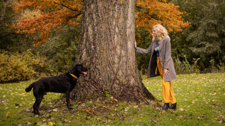 Sylvana en Arlan in een mooi herfstachtig plaatje bij een boom