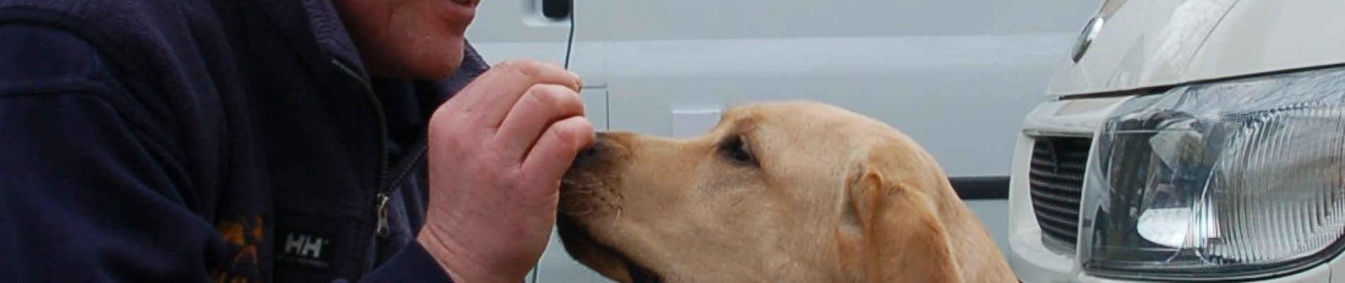 Hoofd Instructeur Kees geeft een koekje aan geleidehond in opleiding