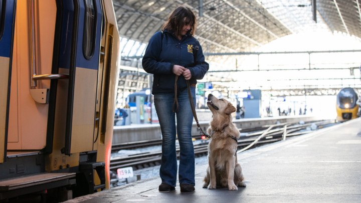 Collega staat naast trein op het station en kijkt naar jonge hond