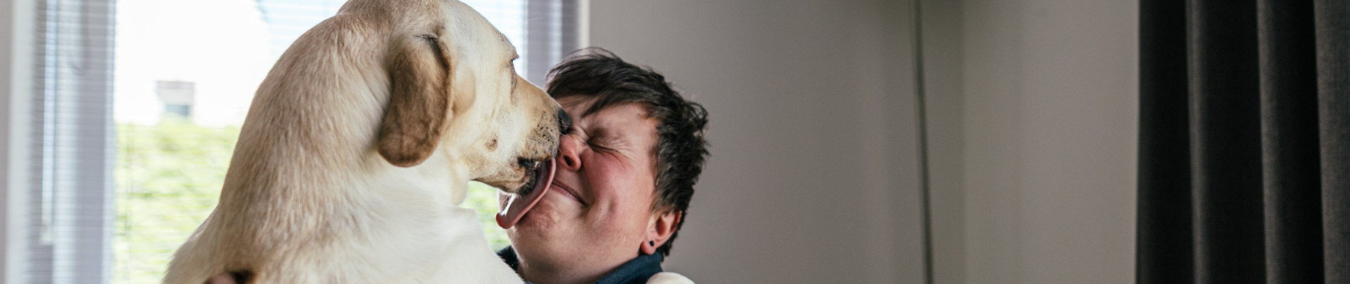 Blonde hond likt in gezicht van trainer