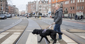 Client steekt zebrapad over met geleidehond