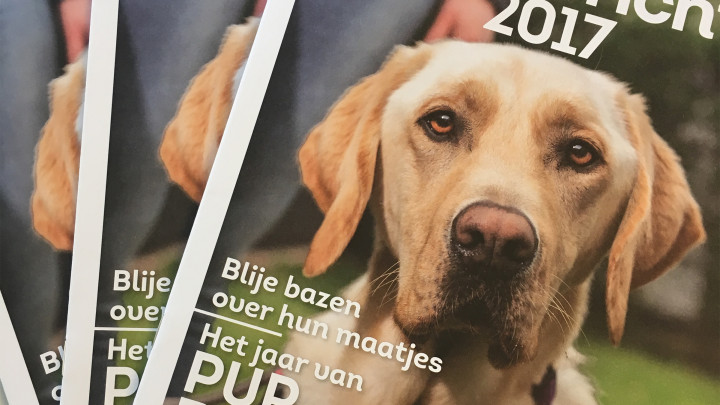 Het jaarbericht in magazinevorm met op de vooorkant de tekst 'Jaarbericht 2017' en een blonde labrador.