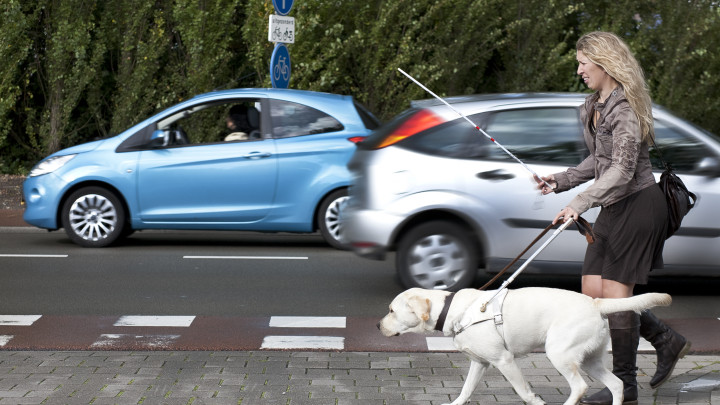 Blindengeleidehond en baas steken de weg over met op de achtergrond langsrazende auto's