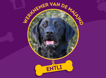 Entli is de Werknemer van de Ma(a)nd